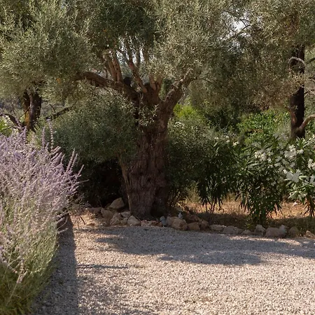 Luxury Elpis Villa